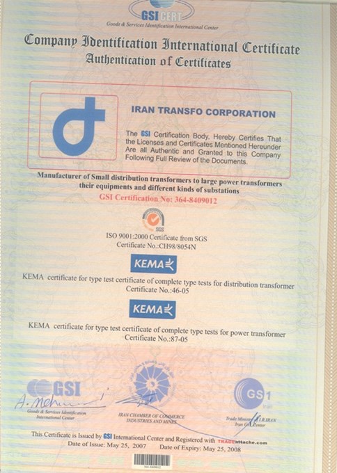 GSI Cert  Company Identification International Certificate